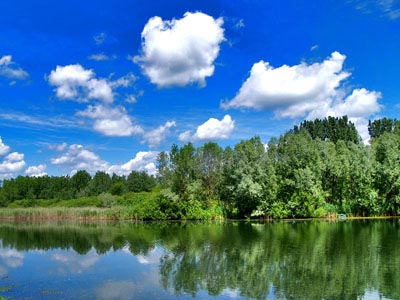 ISO 14001 Environmental Management System